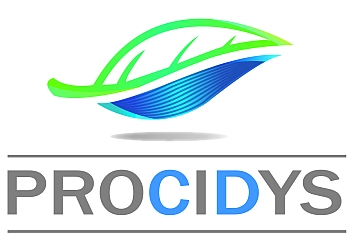 logo Procidys